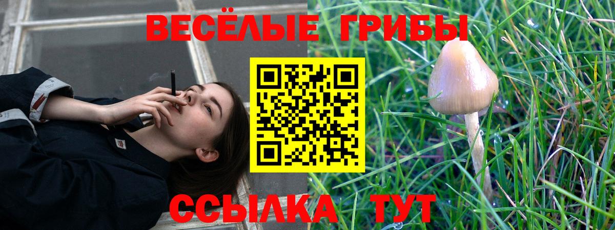 Псилоцибиновые грибы мицелий  Вход с VPN  где можно купить наркотик  Шадринск 