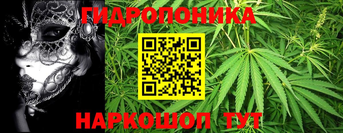 Бошки марихуана планчик  Вход с VPN  Марихуана THC 21%  Шадринск  Бошки Шишки Bruce Banner 